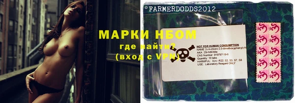 бошки Осташков