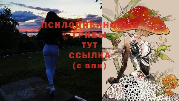 скорость Остров