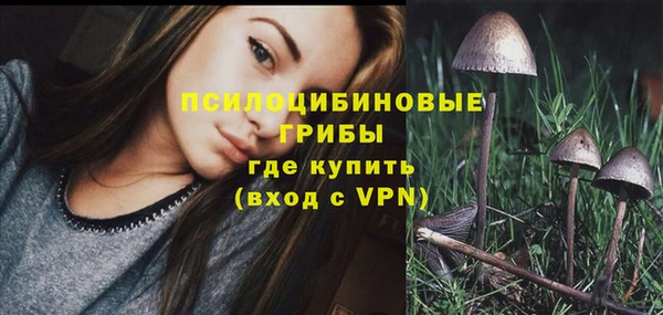 бошки Осташков