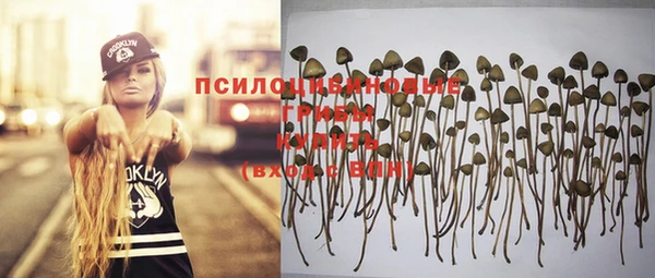 бошки Осташков