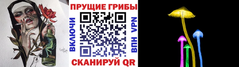 Псилоцибиновые грибы Psilocybe  blacksprut онион  Балашов 