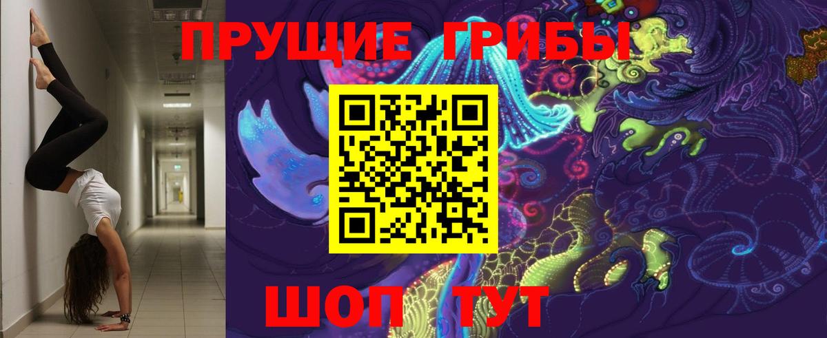 Псилоцибиновые грибы прущие грибы  Вход с VPN  Балашов 
